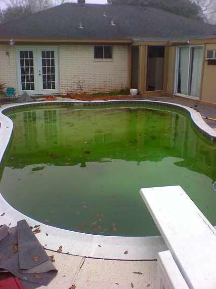 Why did my pool turn green??